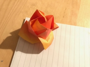 image4 (1).jpeg